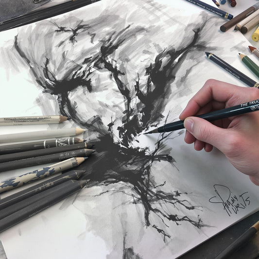 Charcoal Sticks - Drawing Set