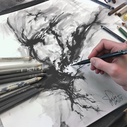 Charcoal Sticks - Drawing Set